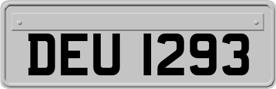 DEU1293