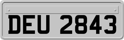 DEU2843