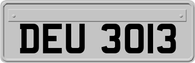 DEU3013