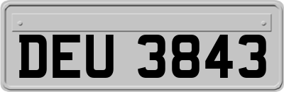 DEU3843