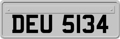 DEU5134