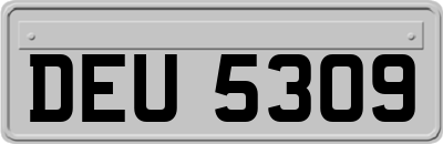 DEU5309