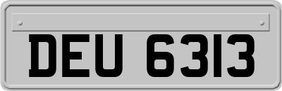 DEU6313
