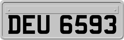DEU6593