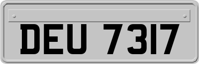 DEU7317