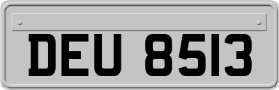 DEU8513