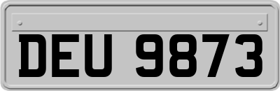 DEU9873