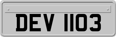 DEV1103
