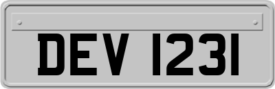 DEV1231