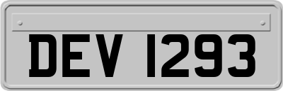 DEV1293
