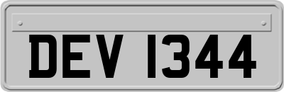 DEV1344