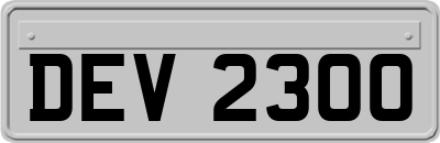 DEV2300