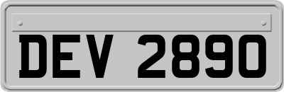 DEV2890