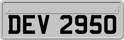 DEV2950