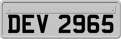 DEV2965