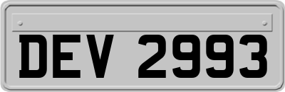 DEV2993