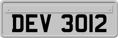 DEV3012