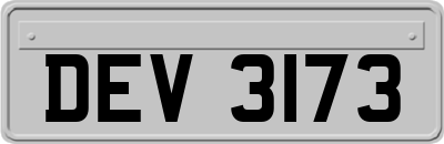 DEV3173