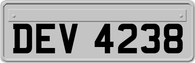 DEV4238