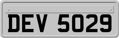 DEV5029
