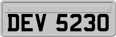 DEV5230