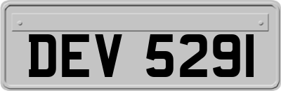 DEV5291