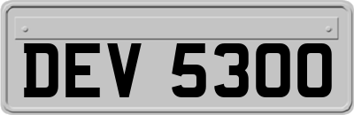 DEV5300