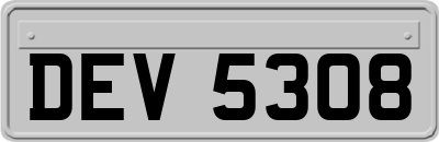 DEV5308