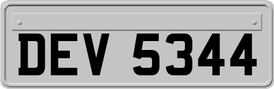 DEV5344