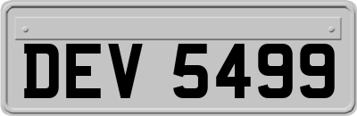 DEV5499