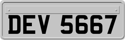 DEV5667