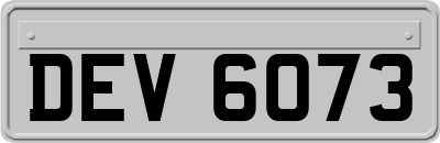 DEV6073