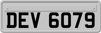 DEV6079