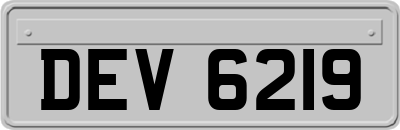 DEV6219