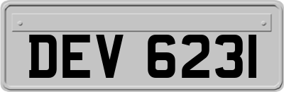 DEV6231