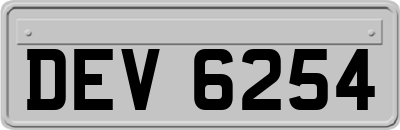 DEV6254
