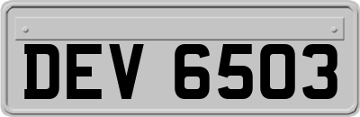 DEV6503