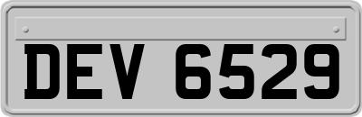 DEV6529