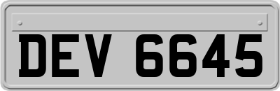 DEV6645