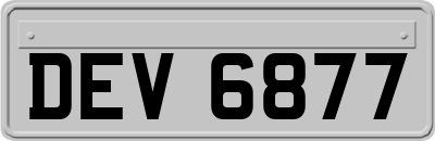 DEV6877
