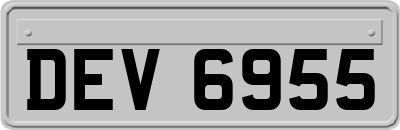 DEV6955