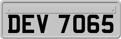 DEV7065