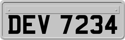 DEV7234