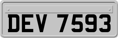 DEV7593