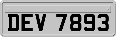 DEV7893