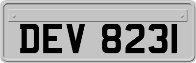 DEV8231