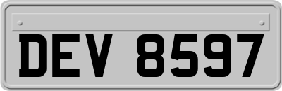 DEV8597