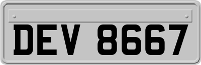 DEV8667