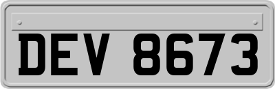 DEV8673