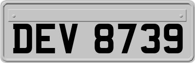 DEV8739